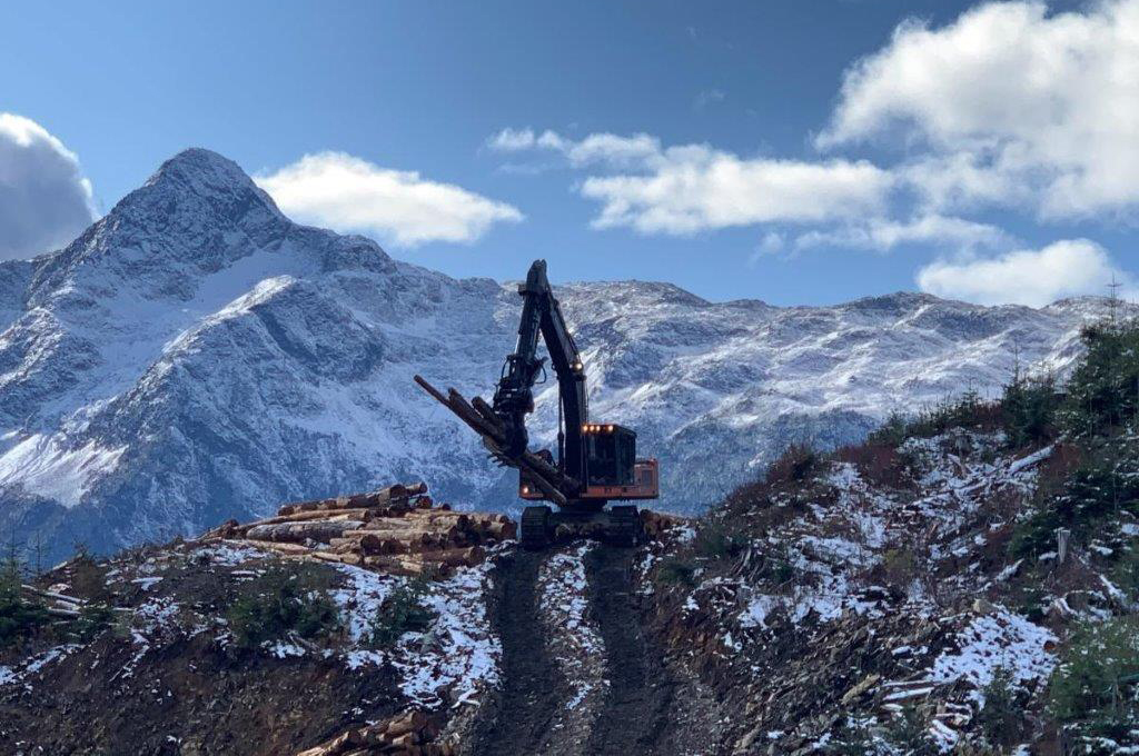 Excavator Picking up Logs